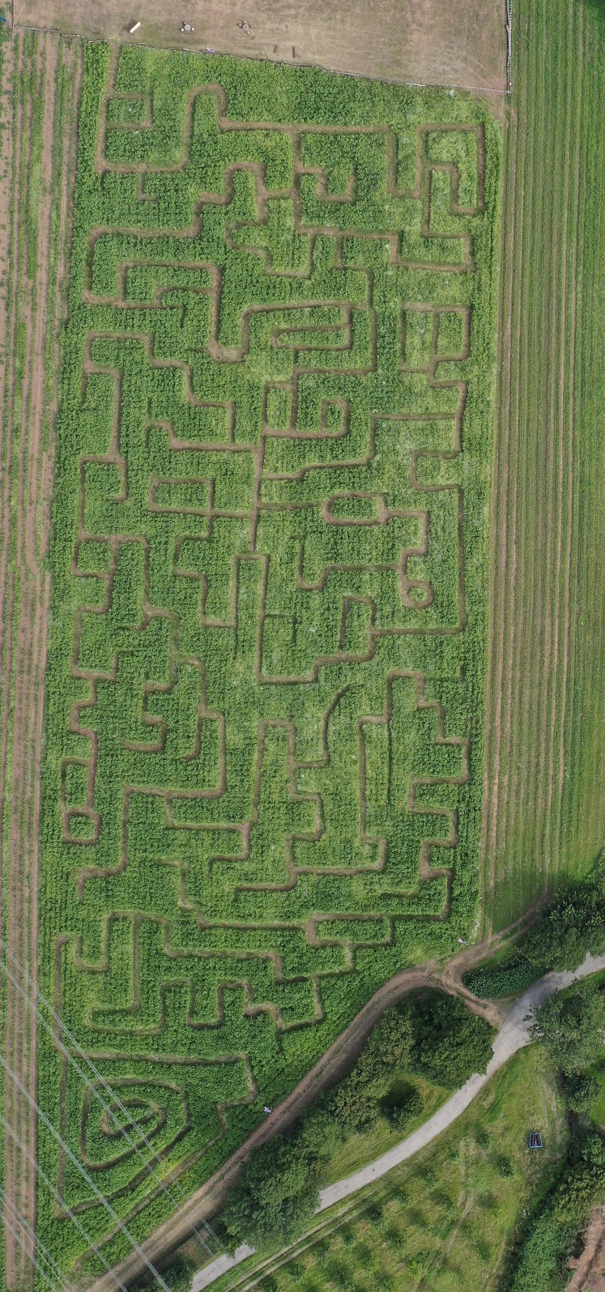 Clearwell Farm