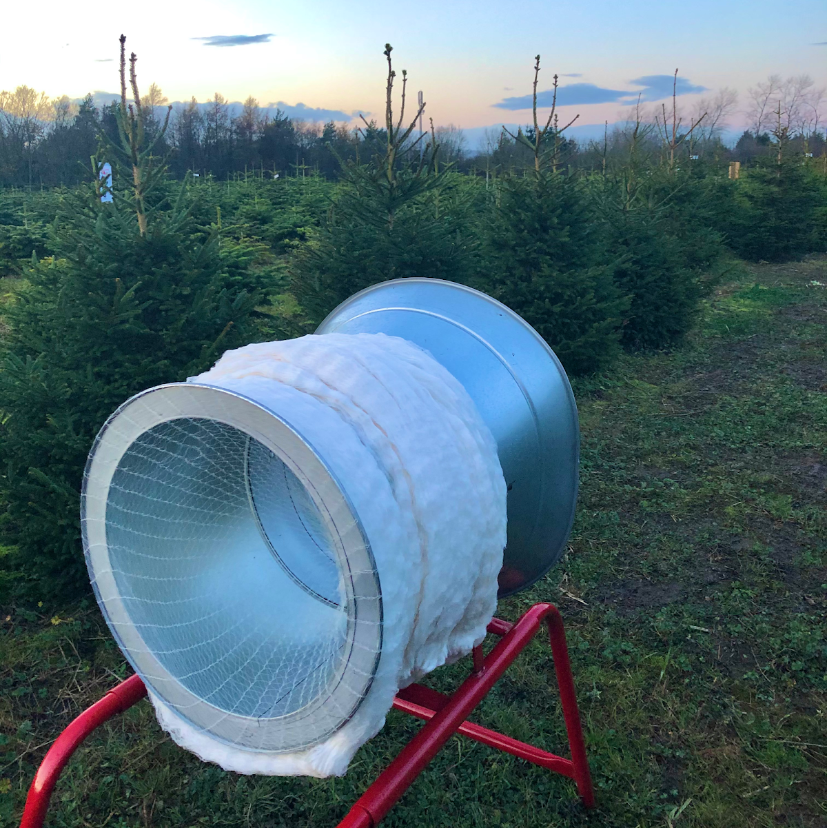 Durham Christmas Trees — photo 4