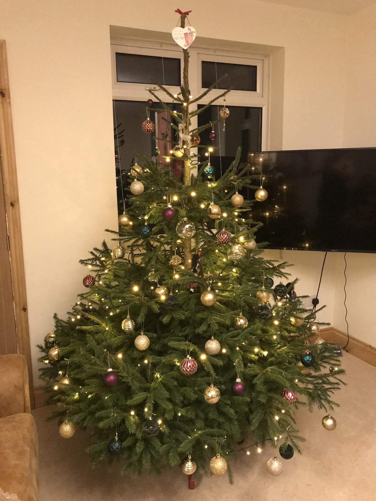 Durham Christmas Trees — photo 5