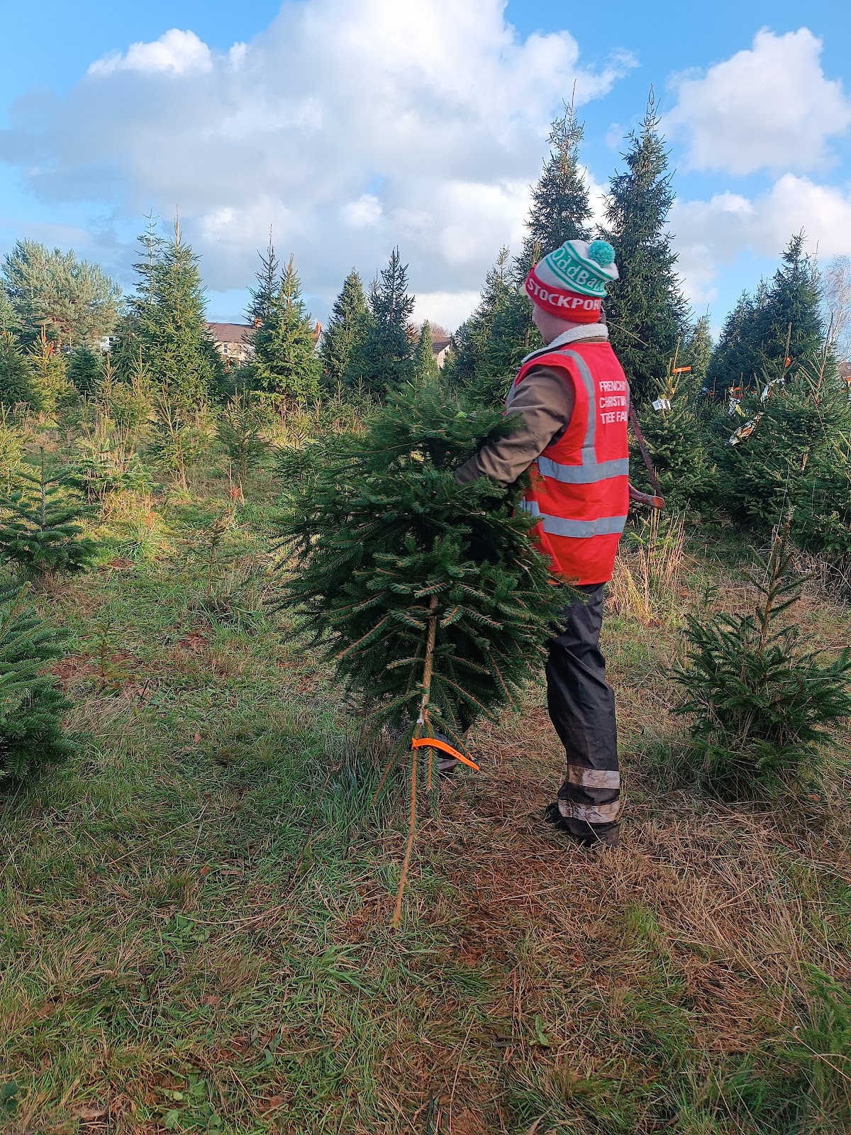 Frenchay Christmas Tree Farm — photo 4