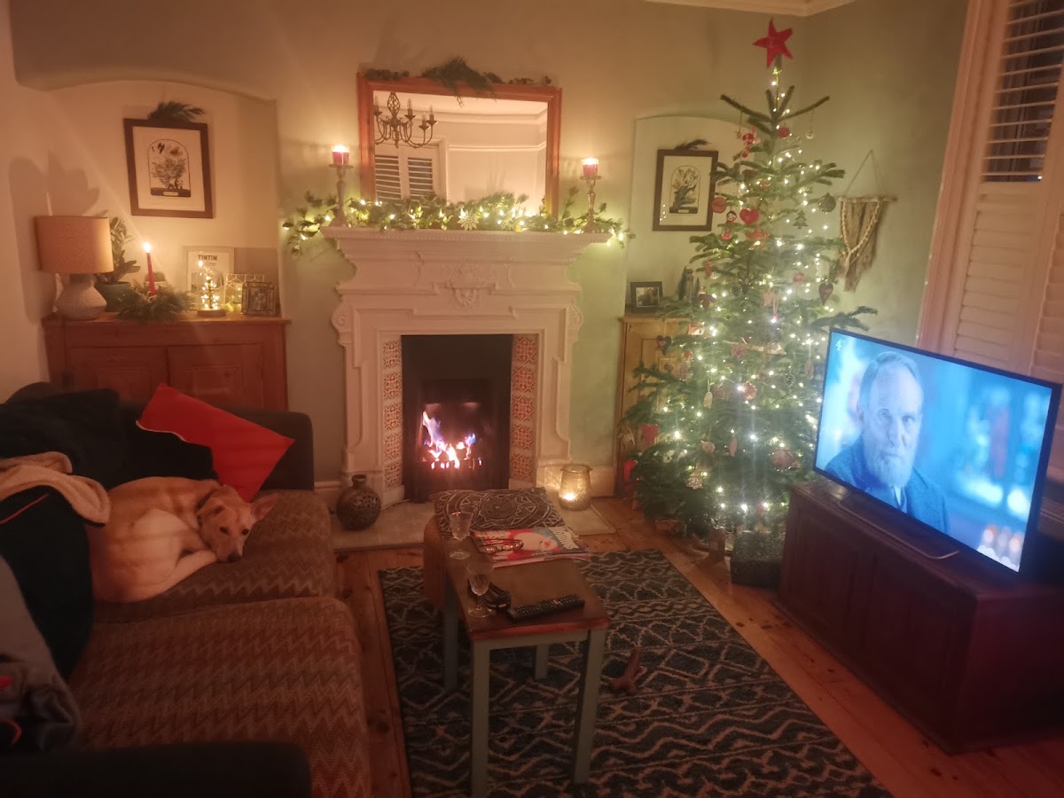 Furze Firs Christmas Trees — photo 2