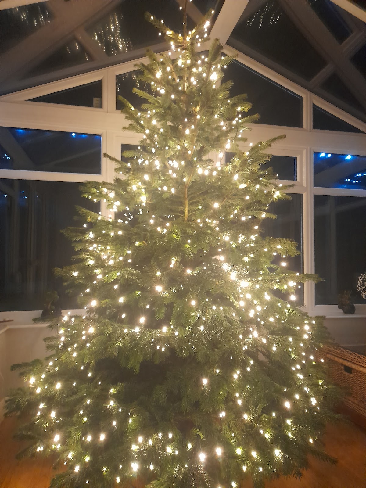 Keele Christmas Tree Farm — photo 5