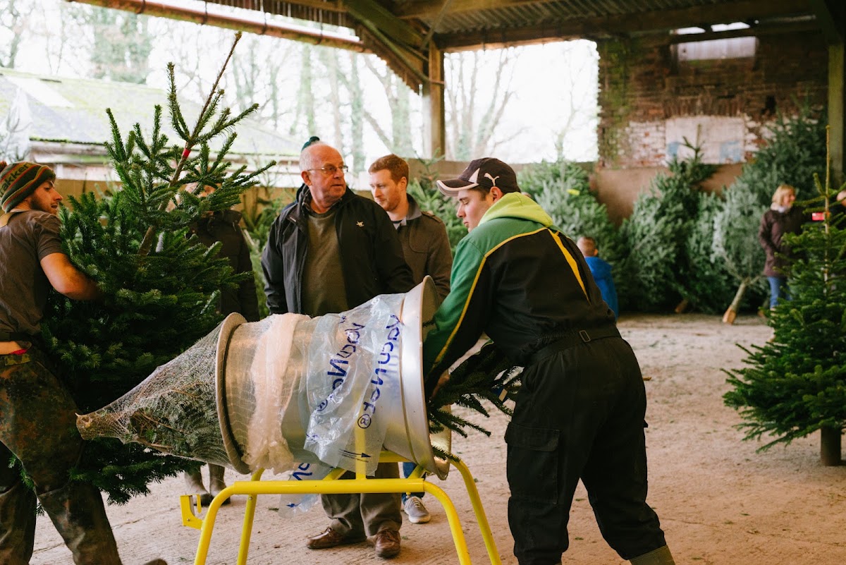 Methley Estate Christmas Tree Farm — photo 3