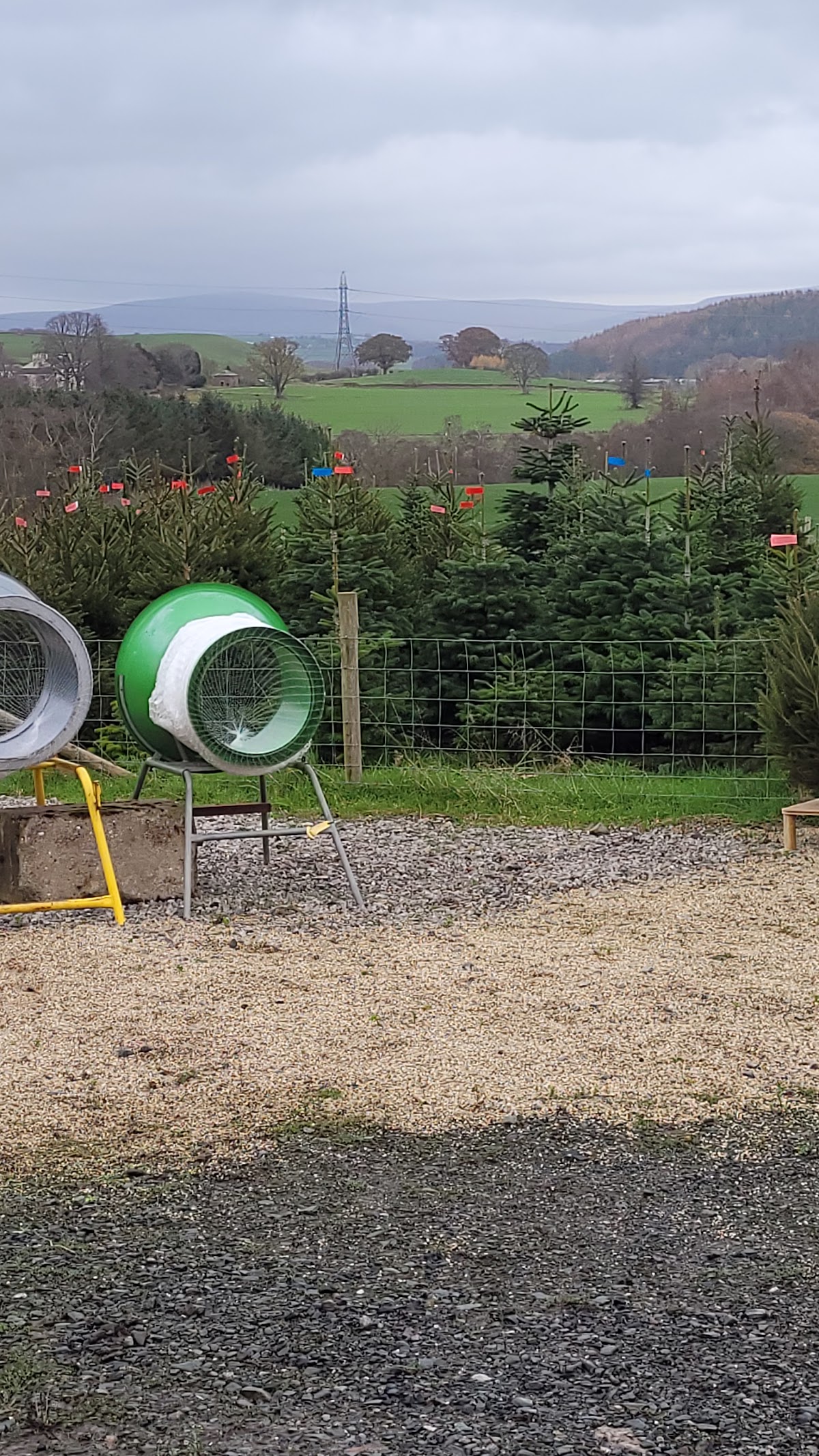 Perfect Christmas Trees — photo 2
