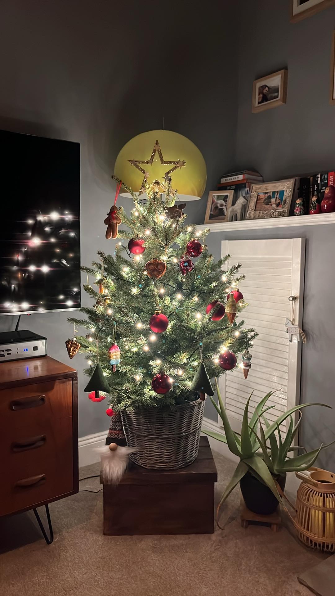 Perfect Christmas Trees — photo 3