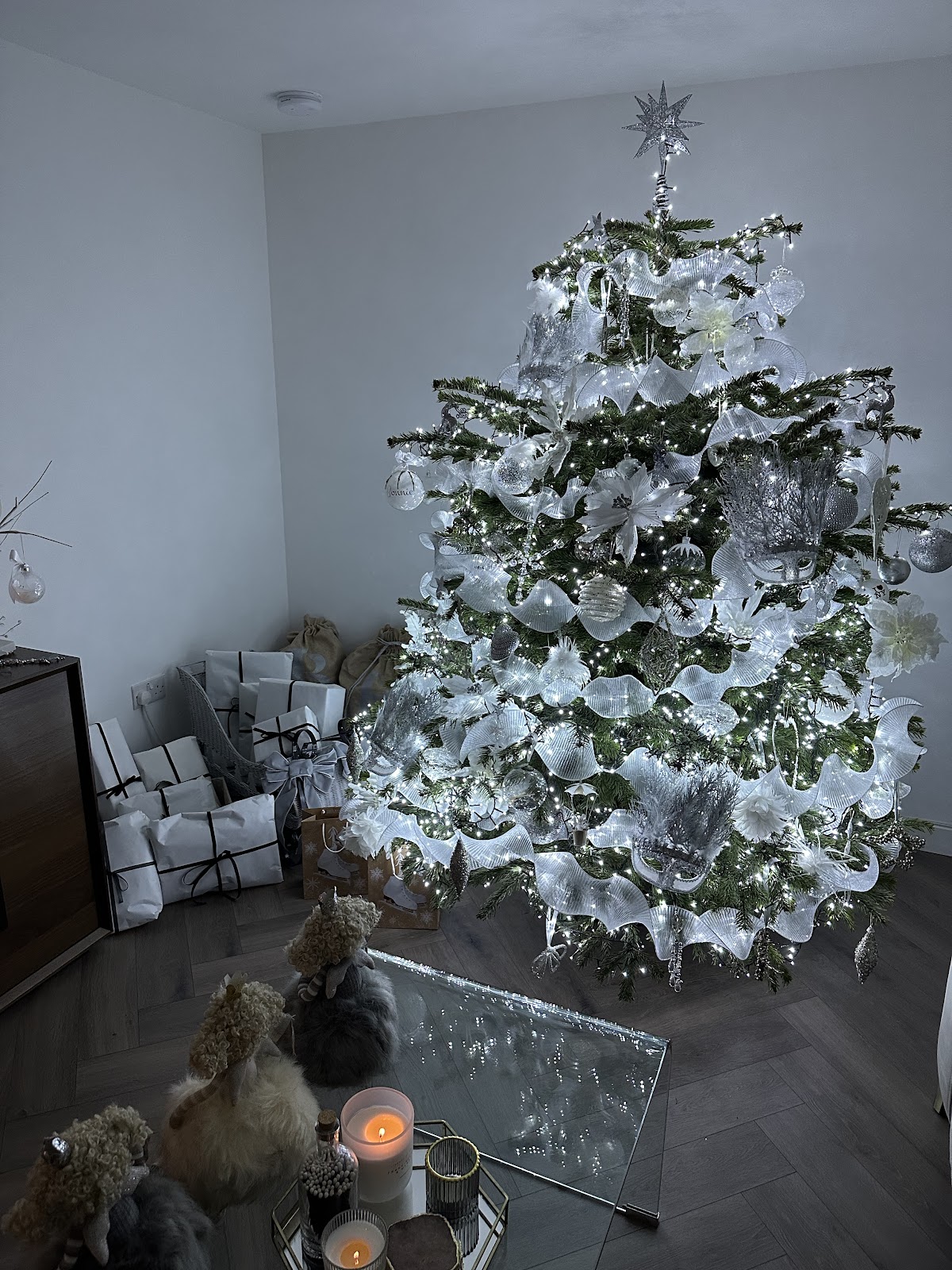 Storry Christmas Trees — photo 3