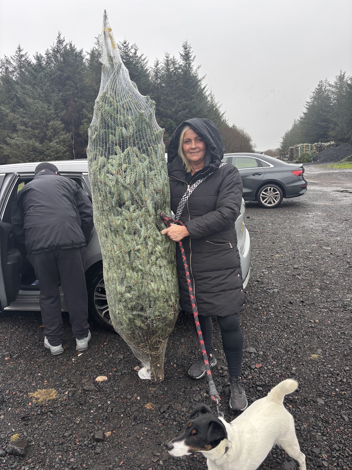 Storry Christmas Trees — photo 5