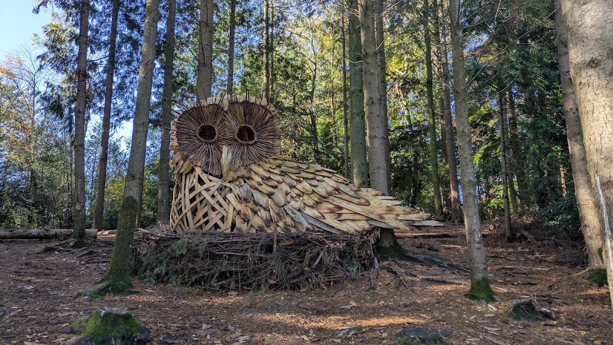 Wilderness Wood — photo 2