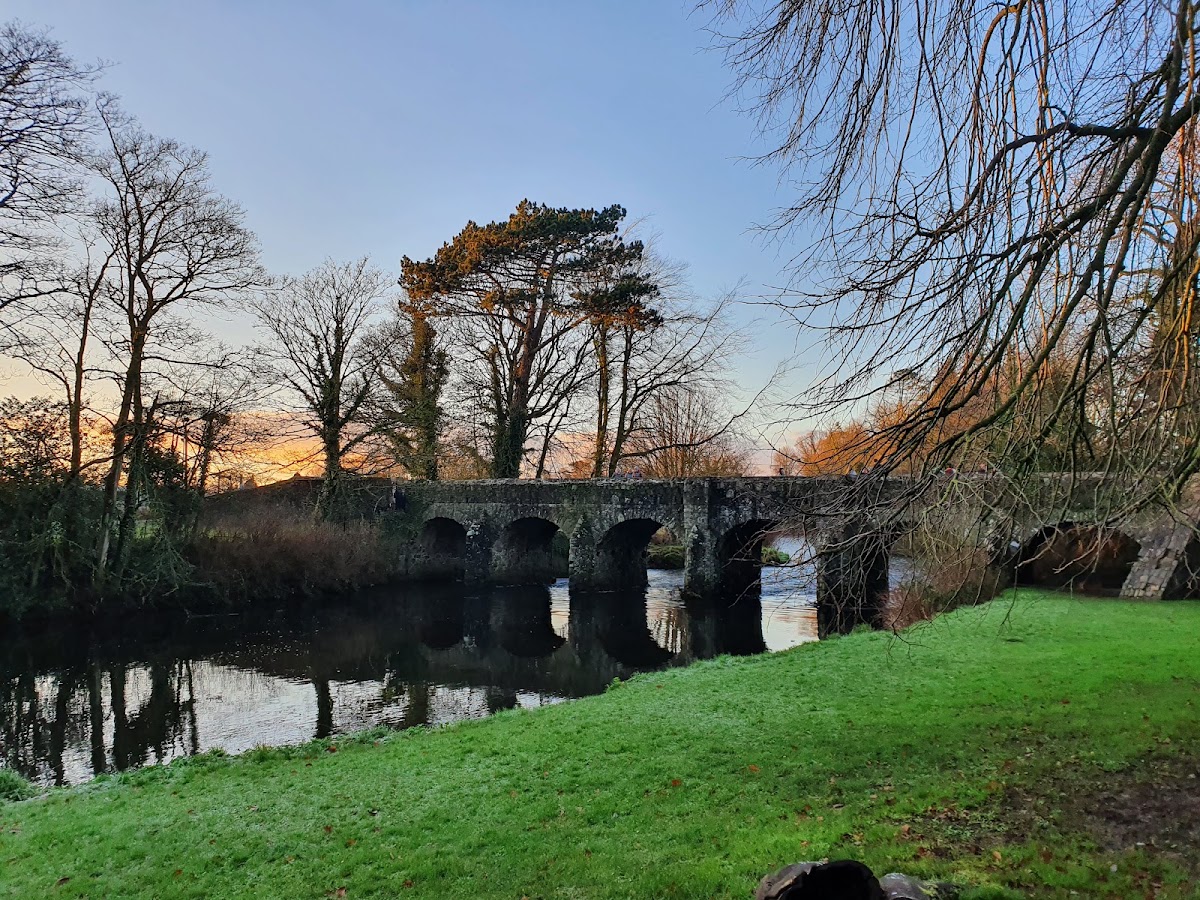 Enchanted Winter Garden — photo 2