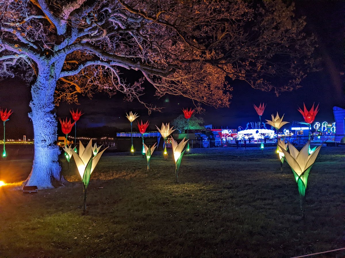 Christmas at Bolesworth Lights Trail — photo 4