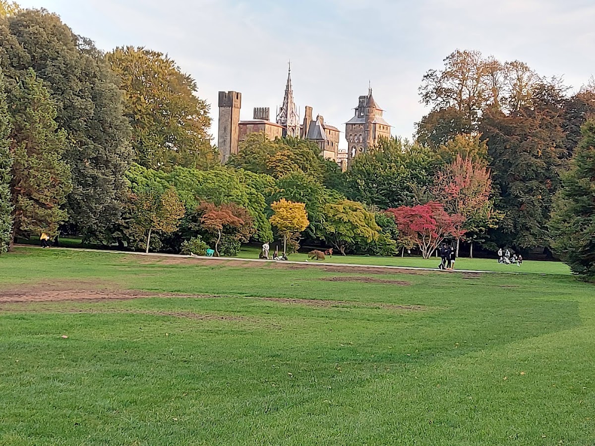 Christmas at Bute Park