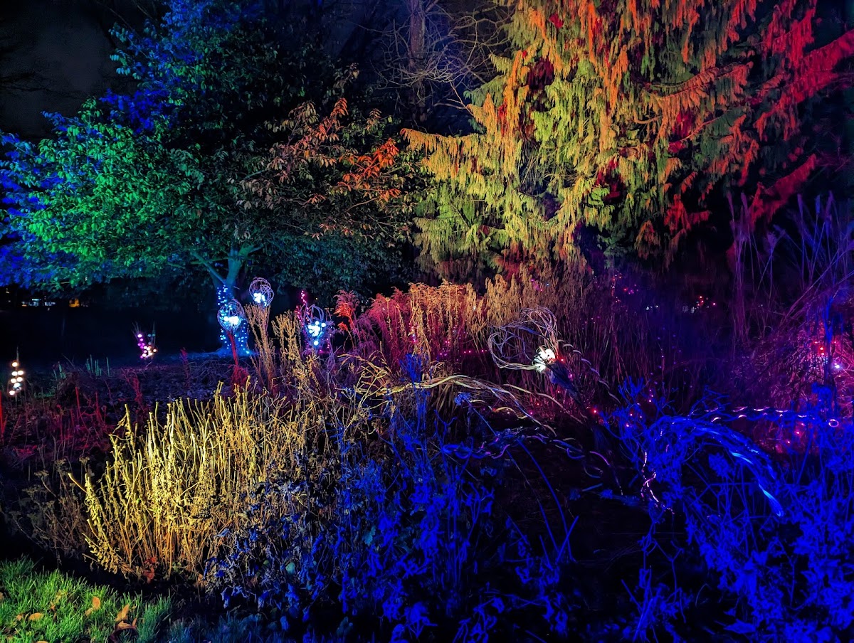 Christmas at Bute Park — photo 2