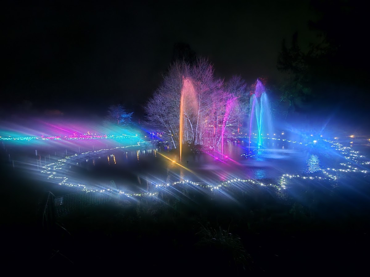 Enlightened Chelmsford (Hylands Estate) — photo 4