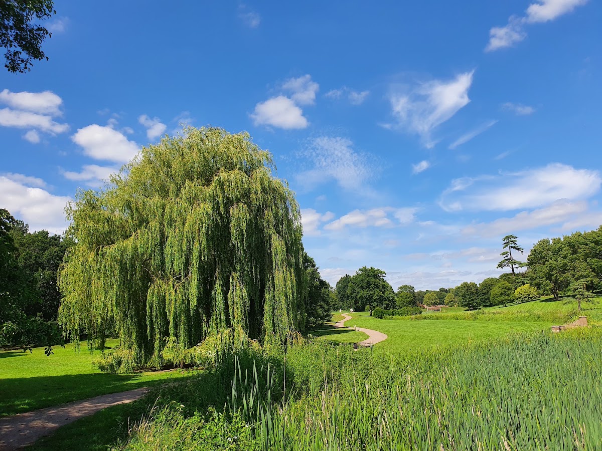 Enlightened Coggeshall (Marks Hall Estate) — photo 4
