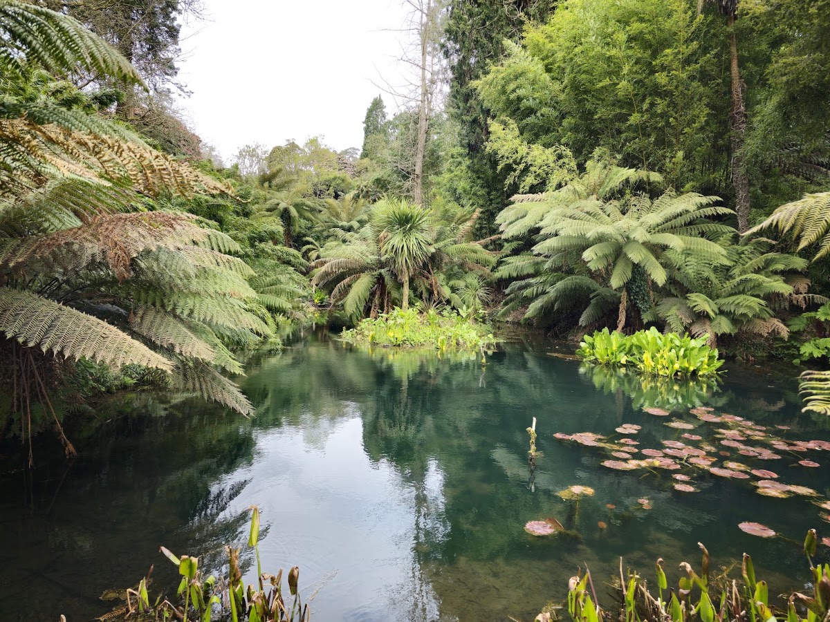 Heligan Night Garden