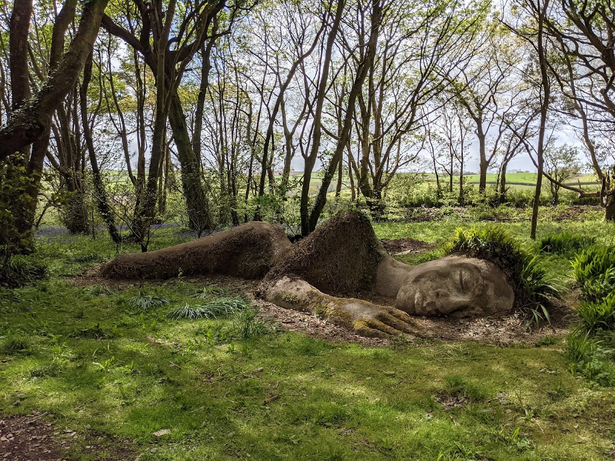 Heligan Night Garden — photo 3