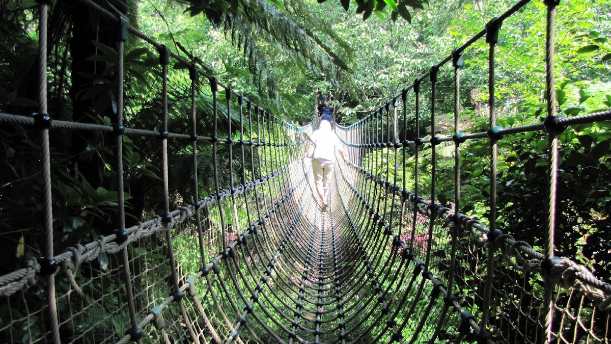 Heligan Night Garden — photo 4