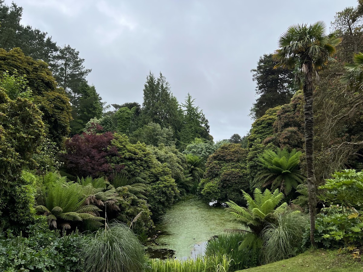 Heligan Night Garden — photo 5