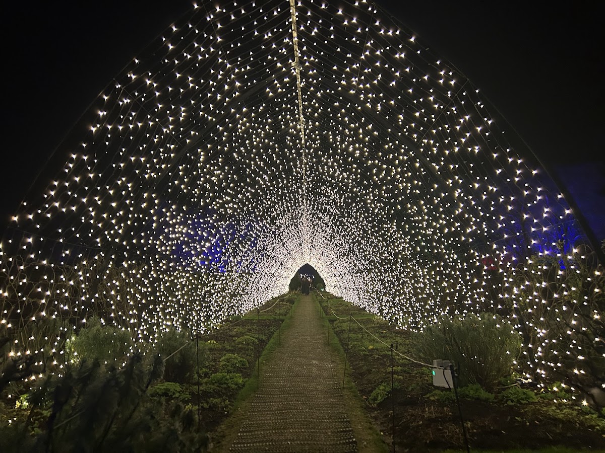 Illuminated Garden Trail (Helmingham Hall) — photo 4