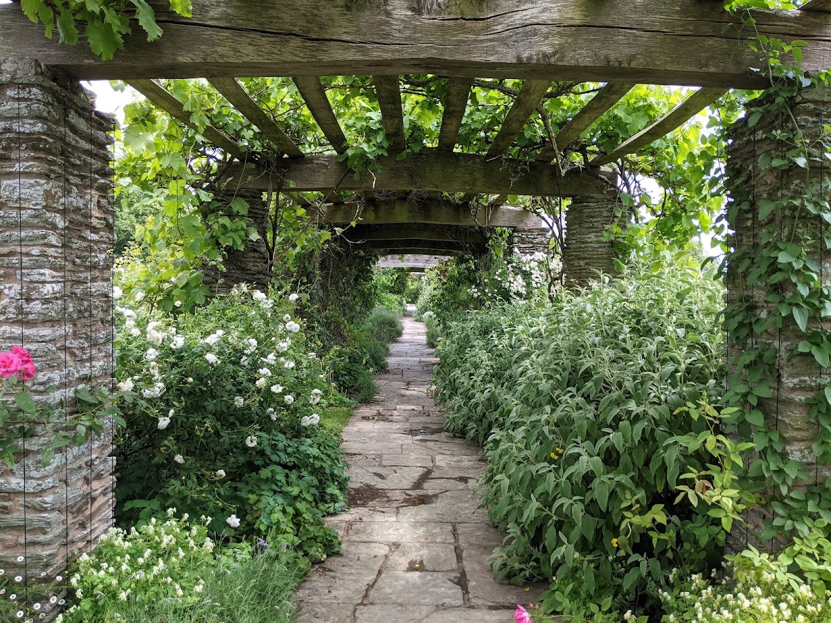 Illuminate at Hestercombe — photo 4