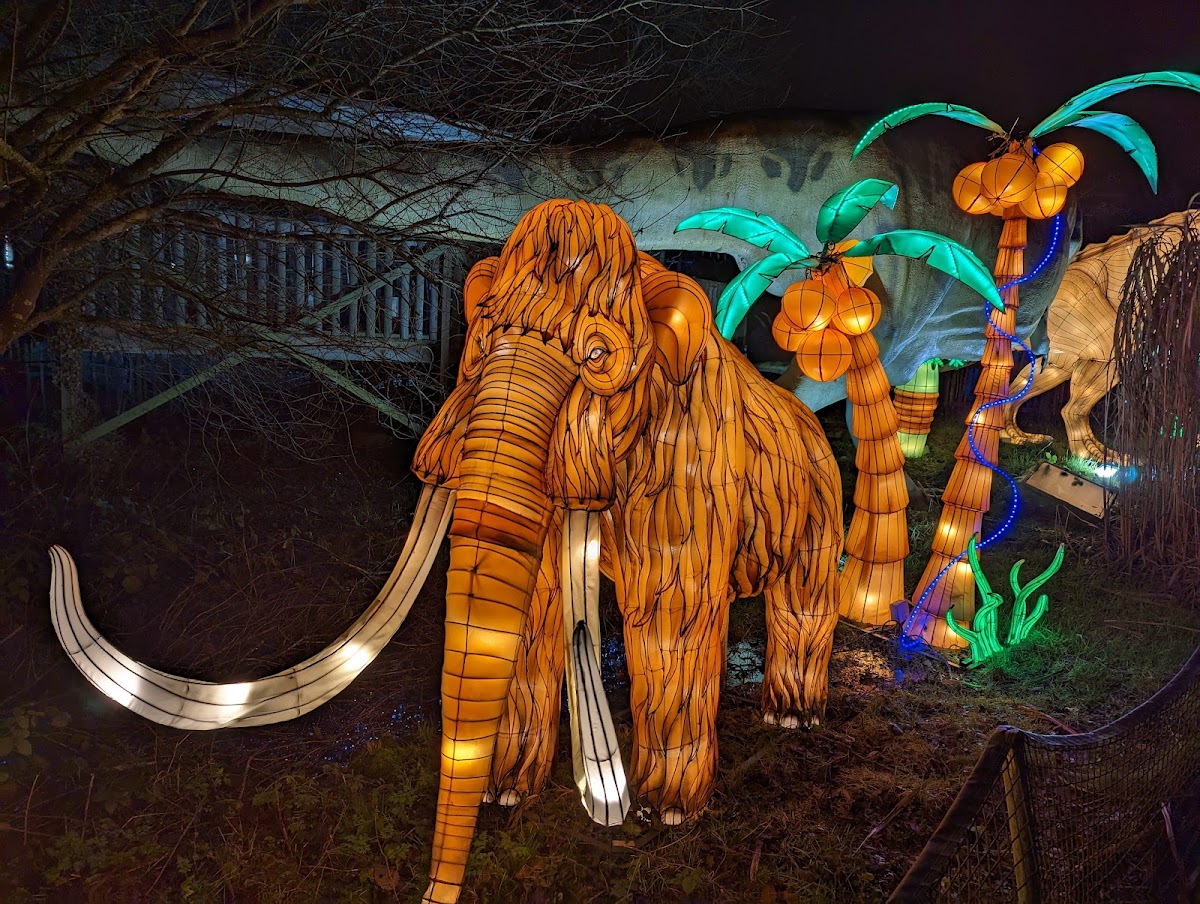 Land of Lights Milton Keynes (Gulliver's)