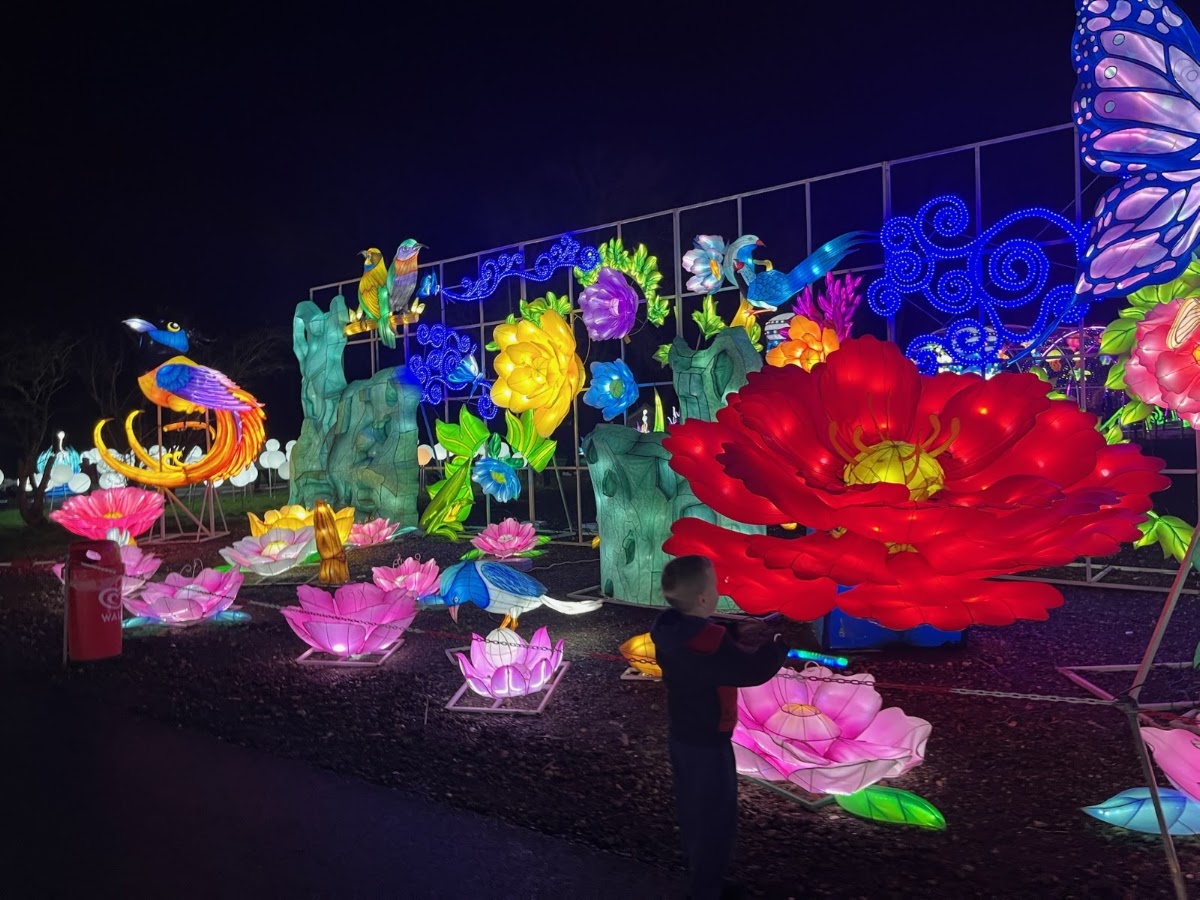 Land of Lights Milton Keynes (Gulliver's) — photo 2