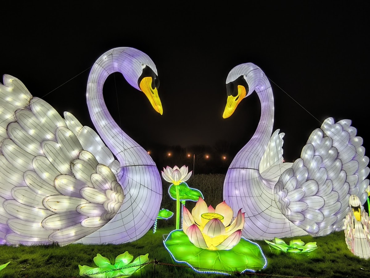 Land of Lights Milton Keynes (Gulliver's) — photo 4