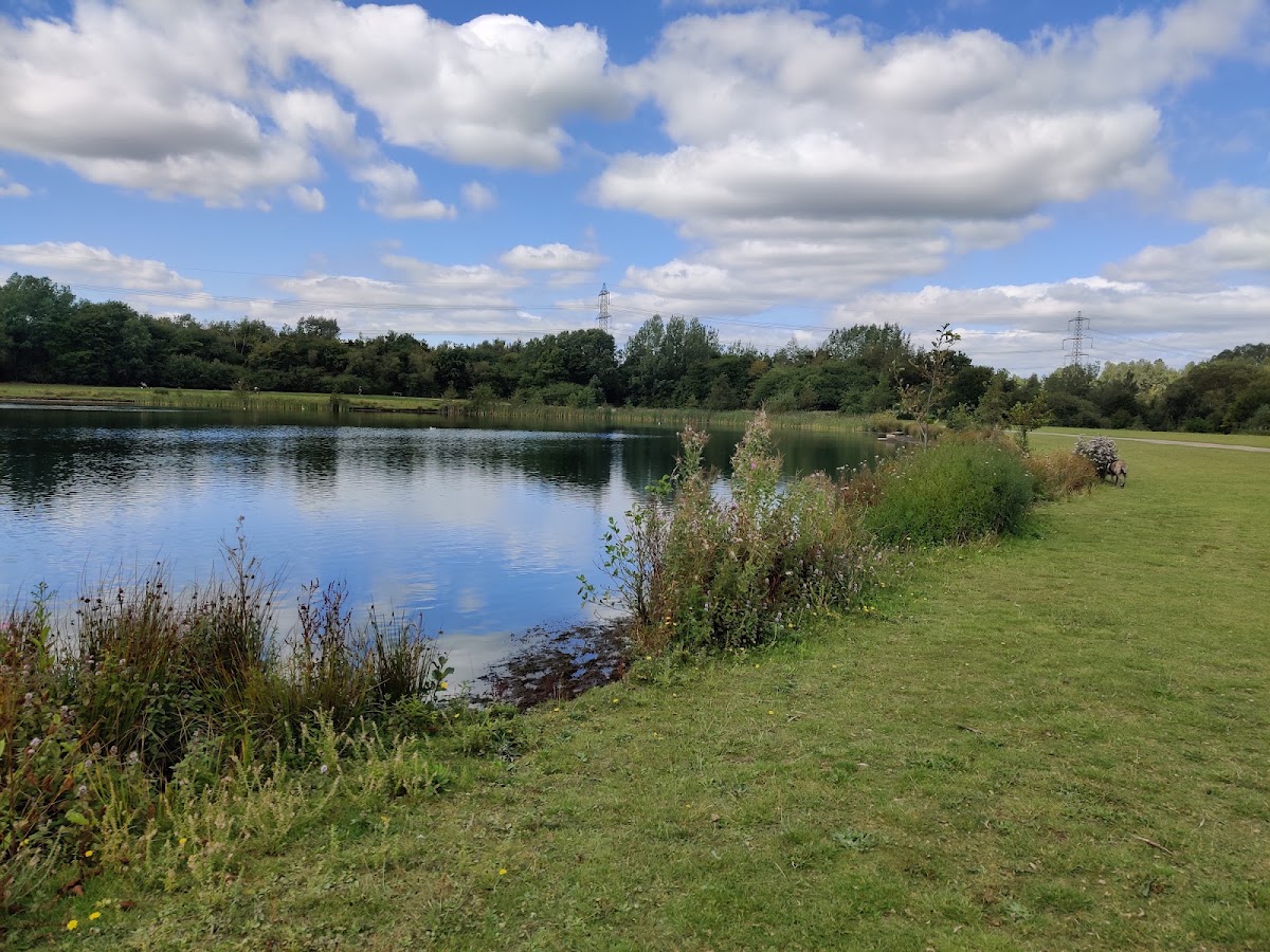 Land of Lights Rother Valley (Gulliver's) — photo 2