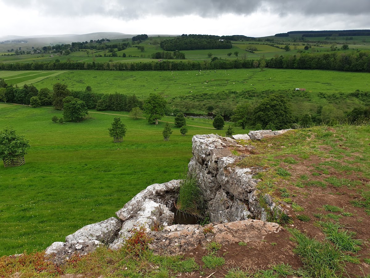 Lights of Lowther — photo 4