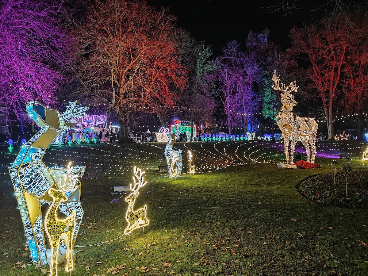 Lisburn Light Trail (Castle Gardens) — photo 5