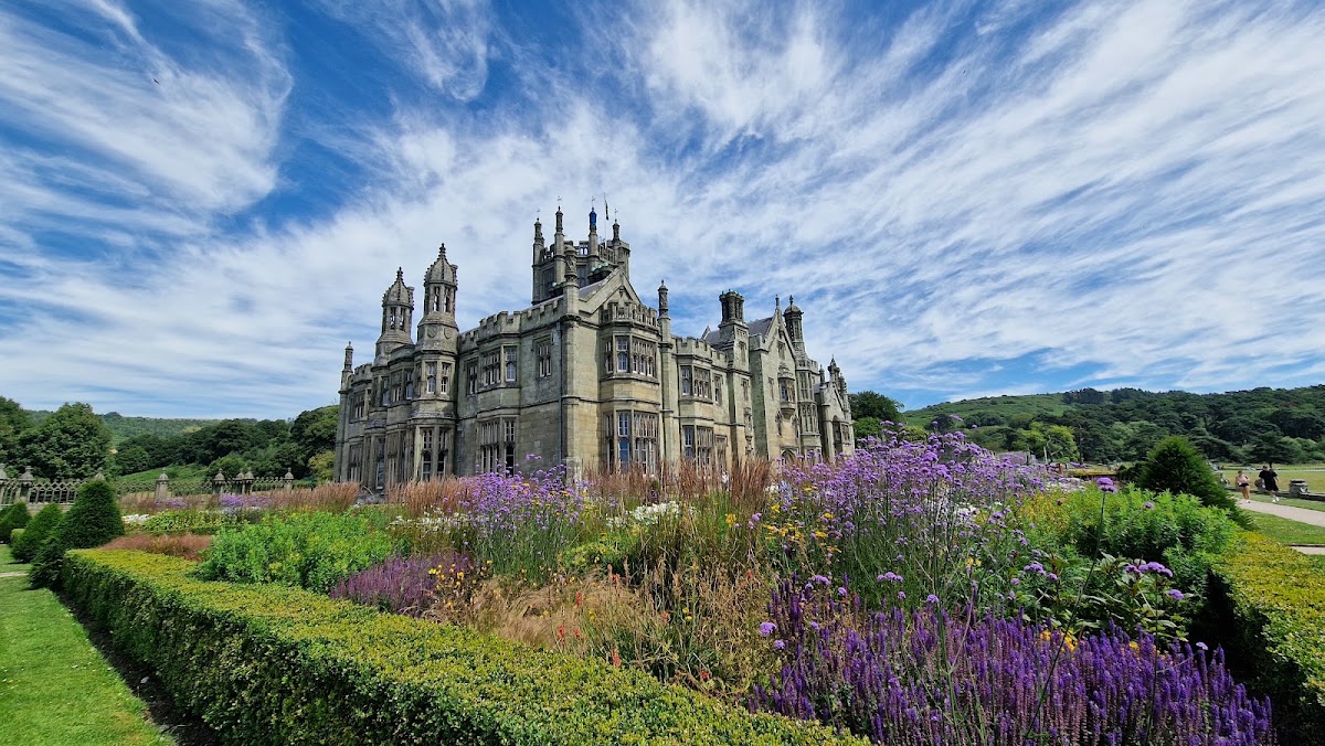 Luminate Margam — photo 2