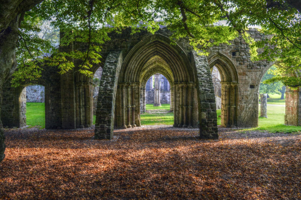 Luminate Margam — photo 4