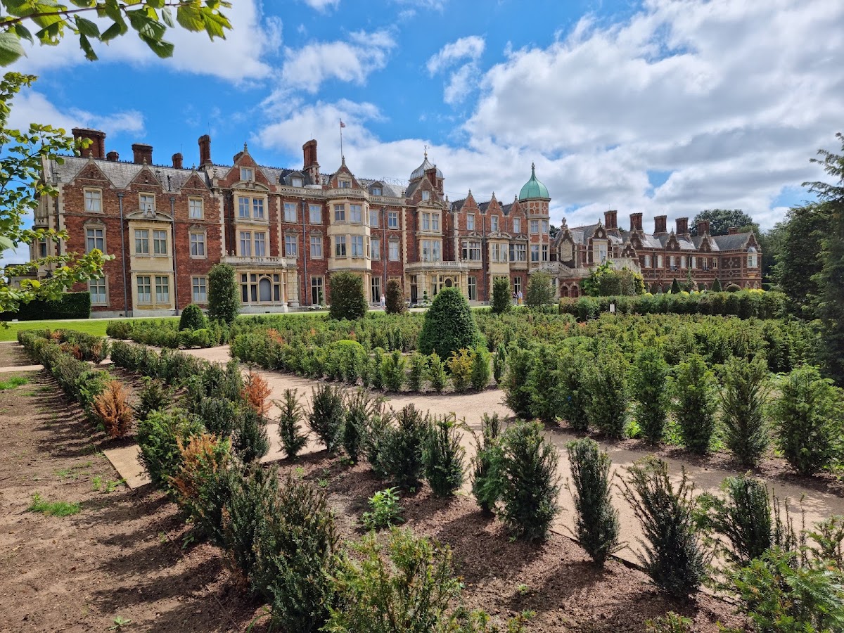 Luminate Sandringham