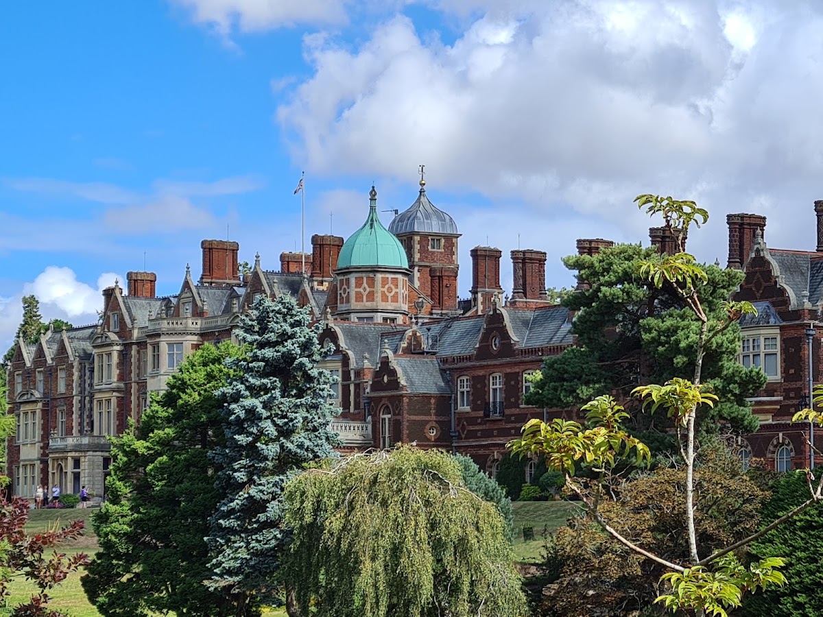 Luminate Sandringham — photo 2