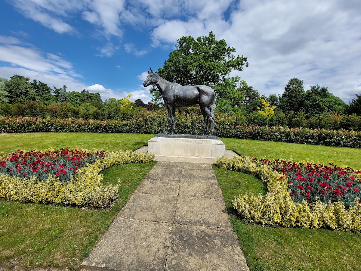Luminate Sandringham — photo 4