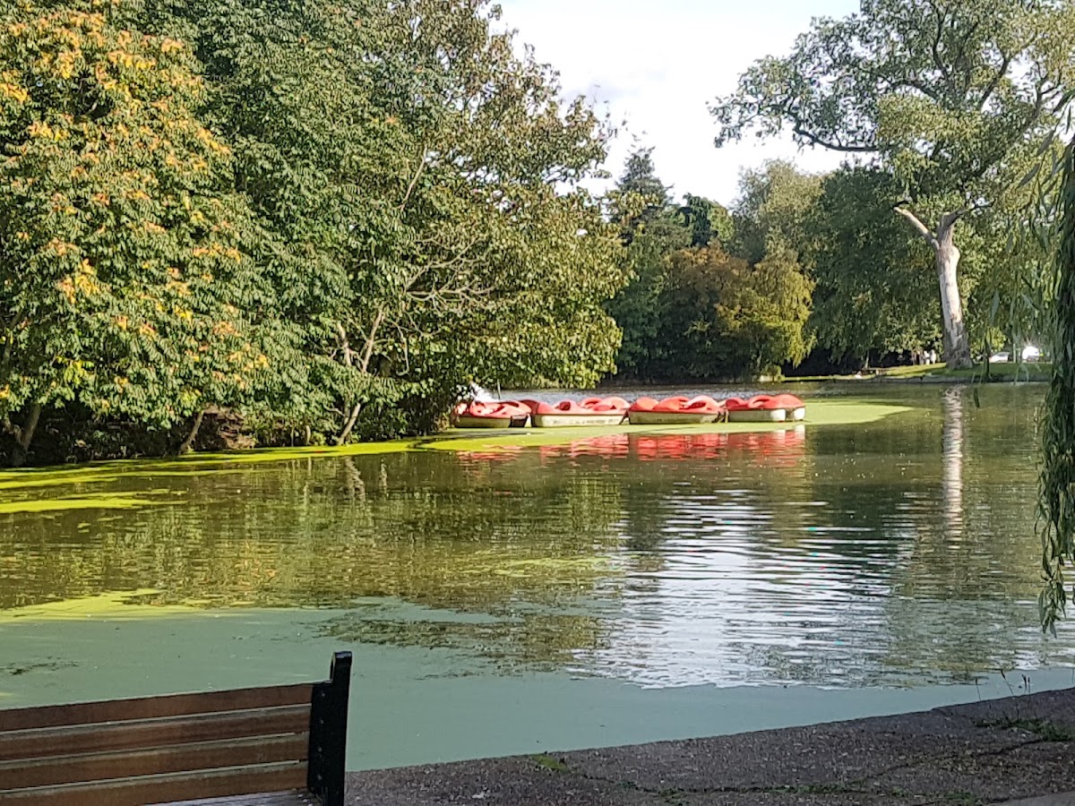 Northern Lights Leicester (Abbey Park) — photo 2