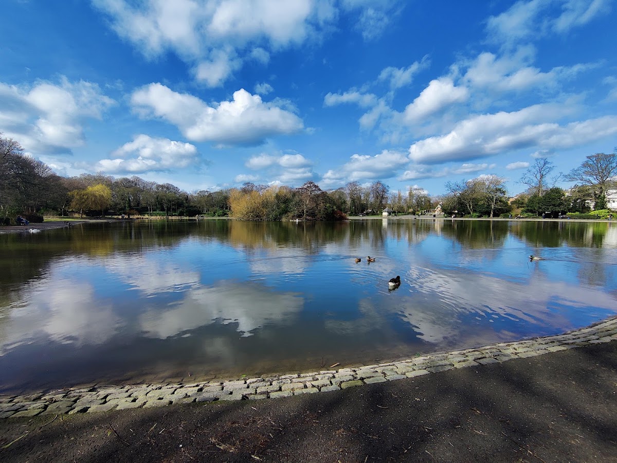 Northern Lights Newcastle (Leazes Park) — photo 2