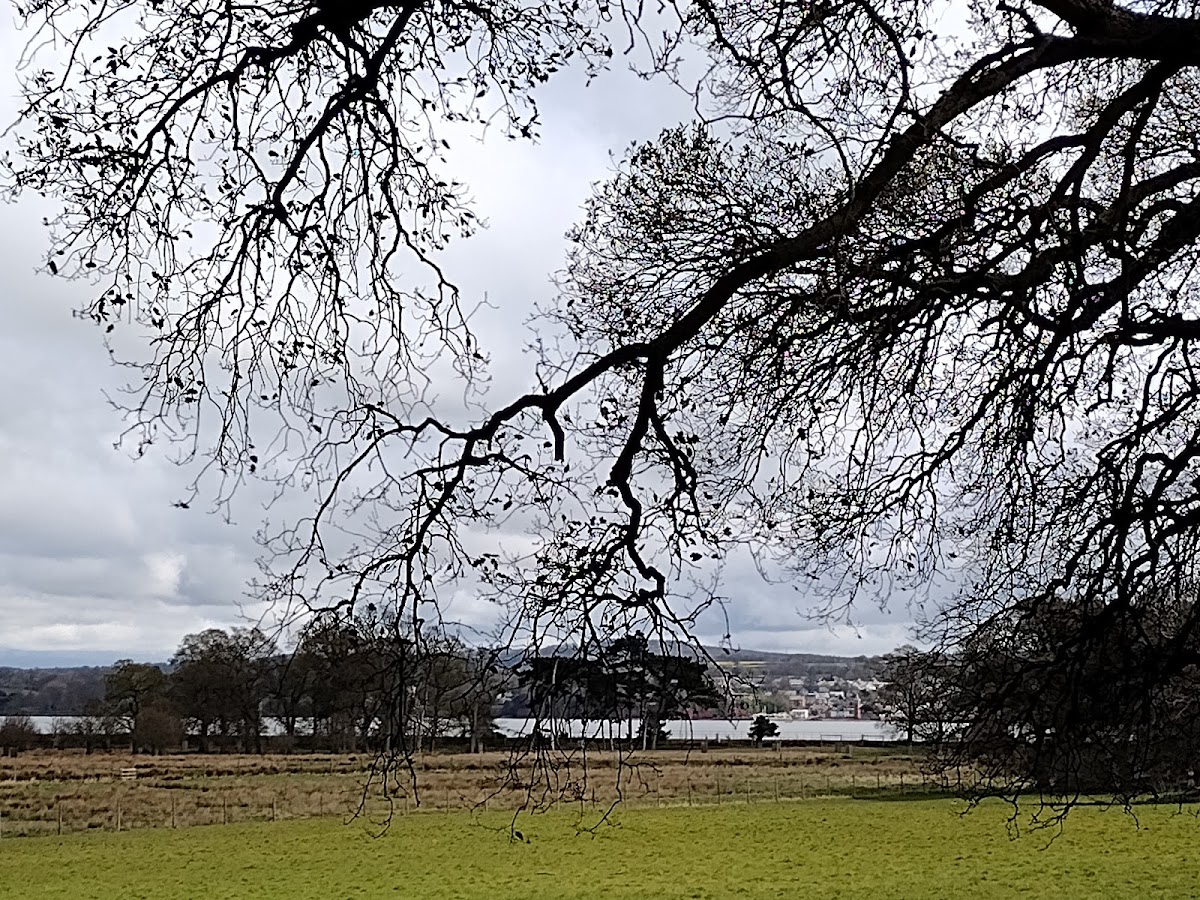 Christmas at the Castle Light Walk (Powderham)