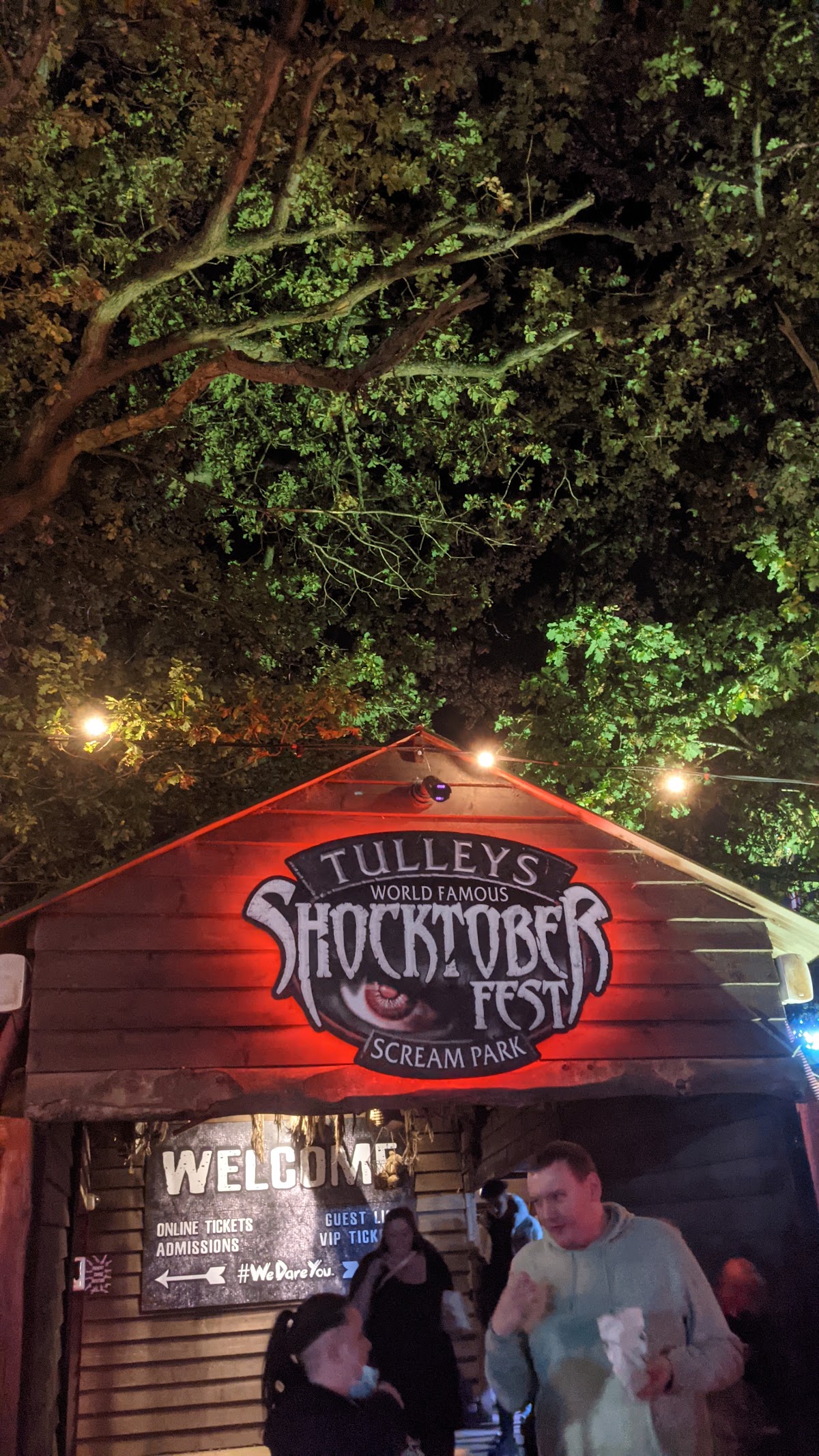 Tulleys Christmas Light Festival — photo 4