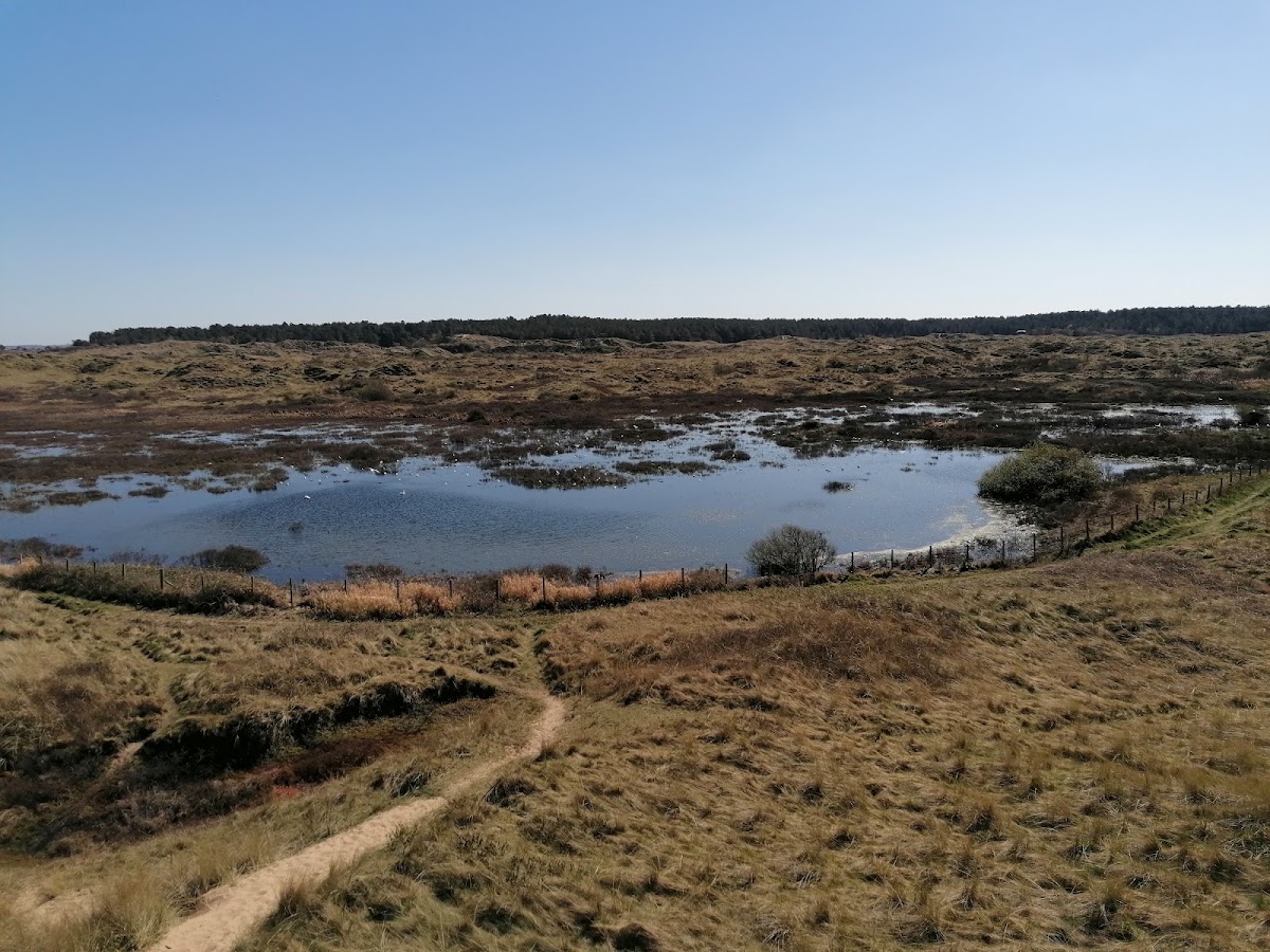 Ainsdale Sand Dunes National Nature Reserve