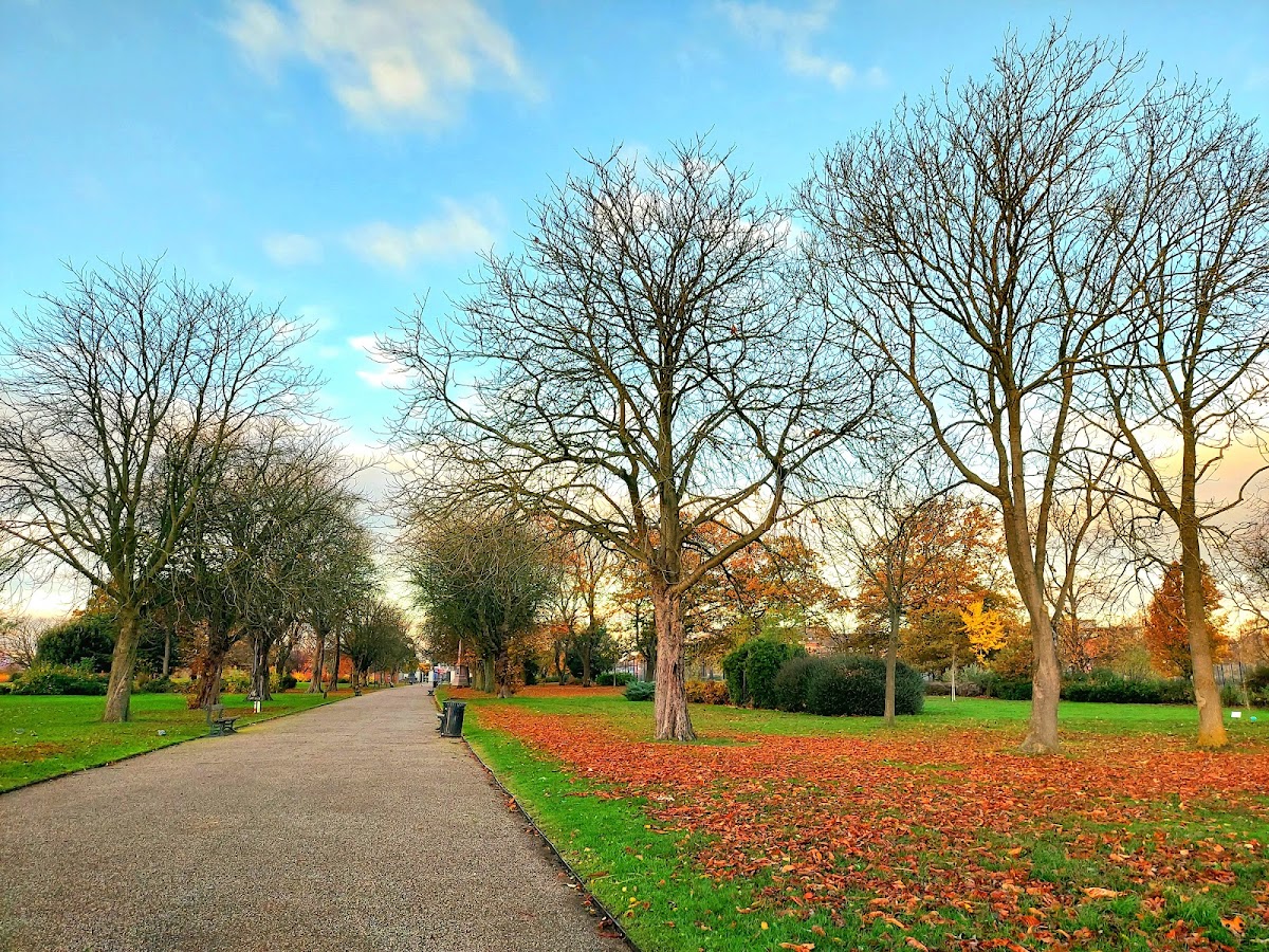 Albert Park