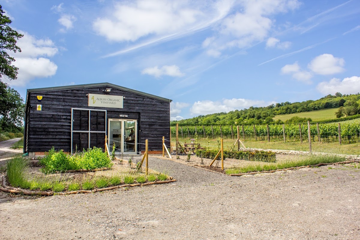 Albury Organic Vineyard