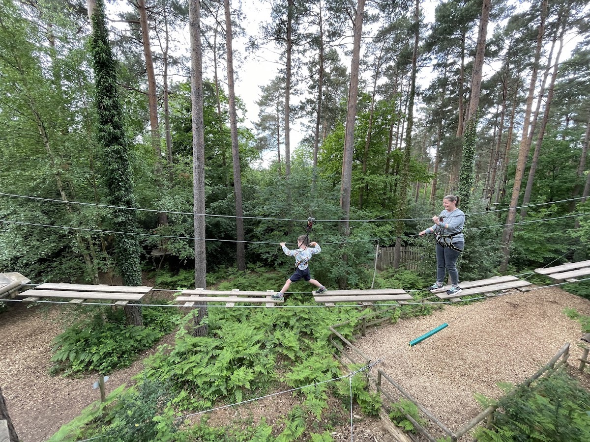 Alice Holt Forest
