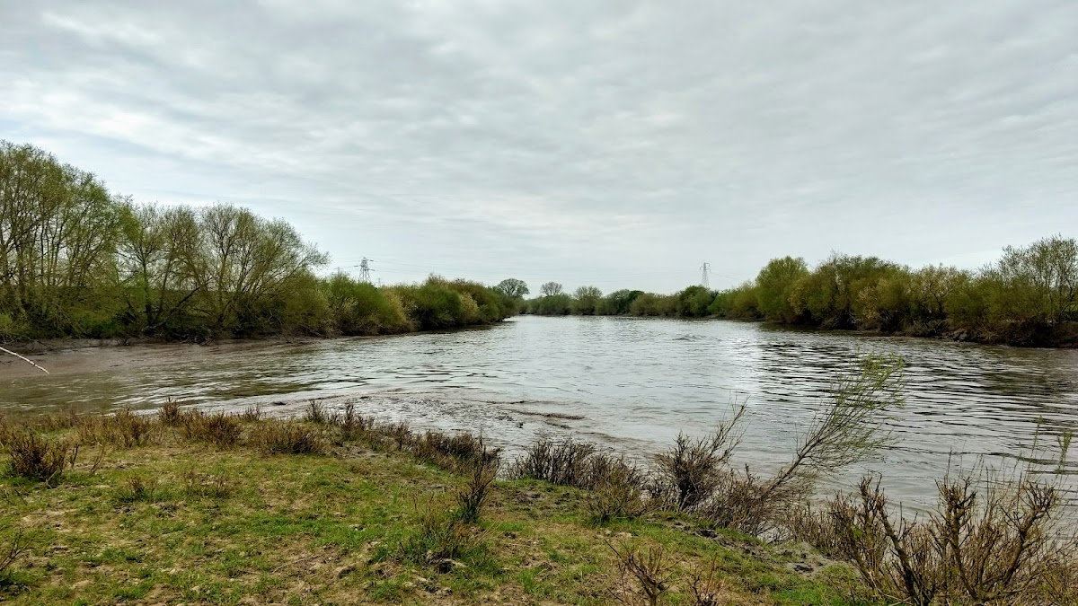 Alney Island Nature Reserve