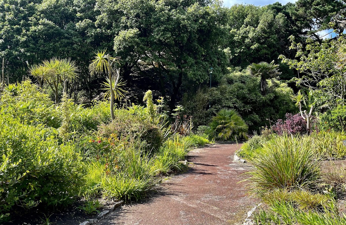 Alum Chine Tropical Gardens