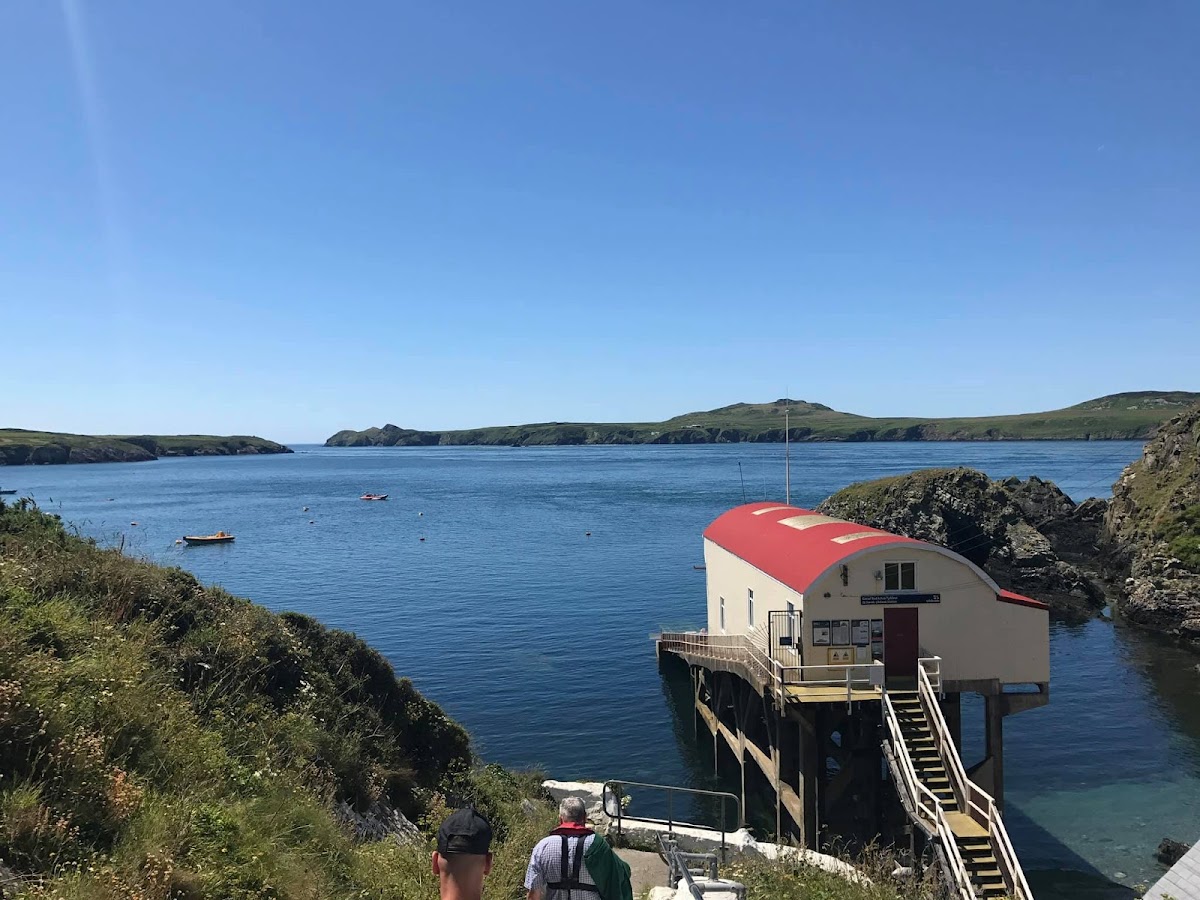 Aquaphobia Ramsey Island Boat Trips