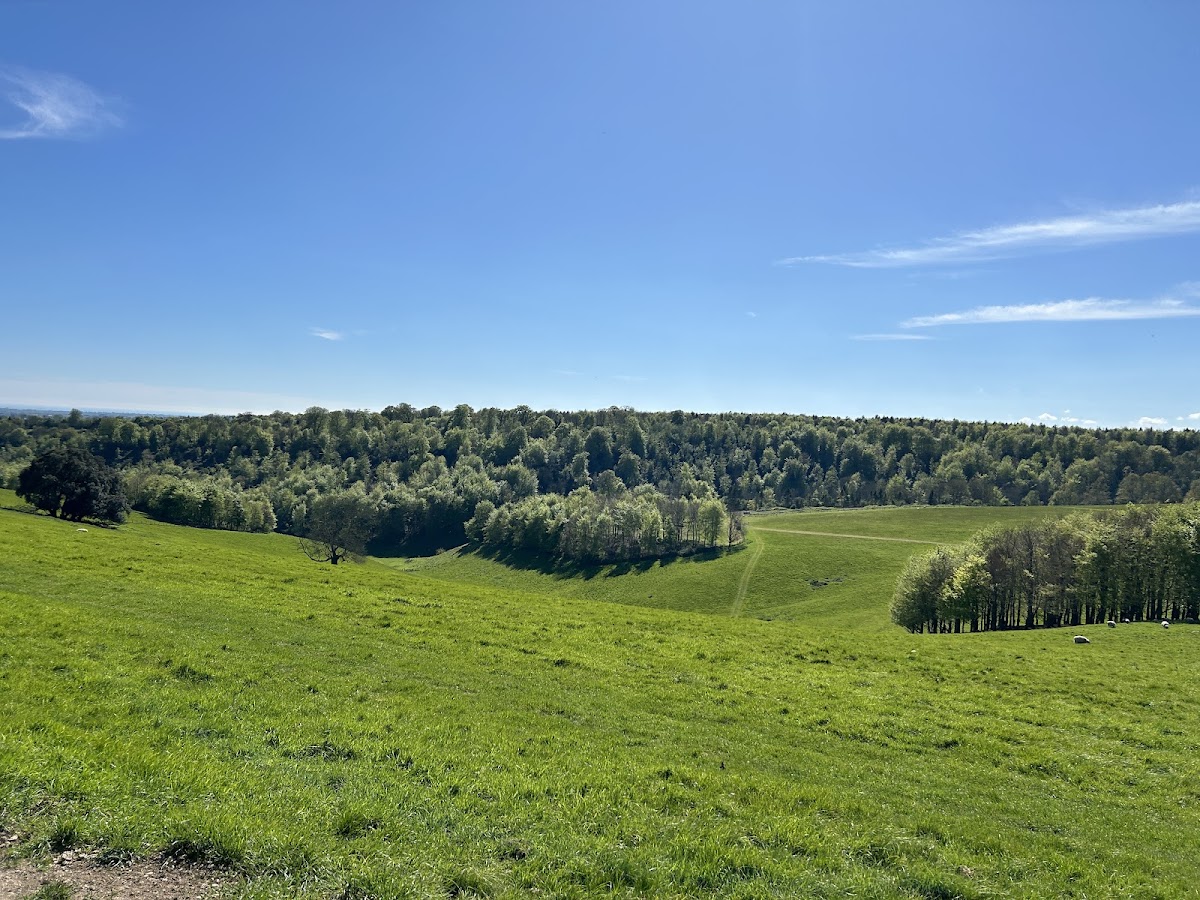 Arundel Park
