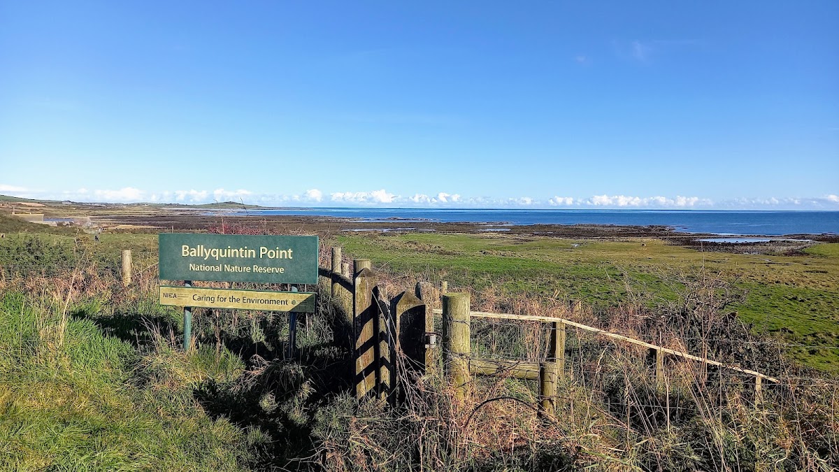 Ballyquintin Point