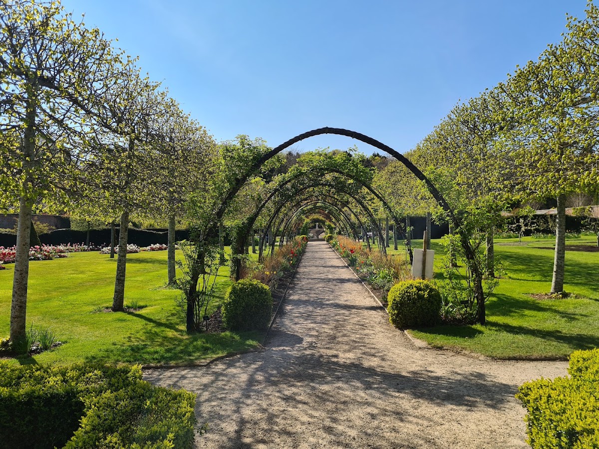 Bangor Castle Walled Garden