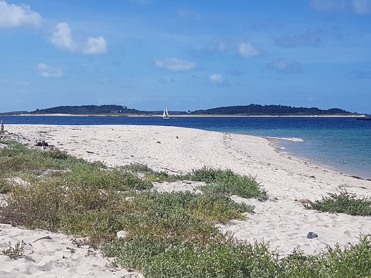 Bar Point